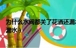 为什么水阀都关了花洒还漏水了（为什么水阀都关了花洒还漏水）