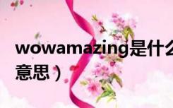 wowamazing是什么意思（amazing是什么意思）