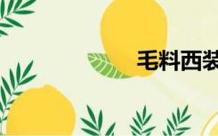 毛料西装（毛料）