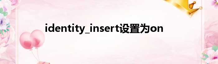 identity-insert-on-51