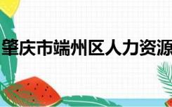 肇庆市端州区人力资源和社会保障局咨询电话