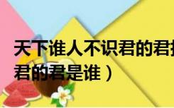 天下谁人不识君的君指的是谁（天下谁人不识君的君是谁）