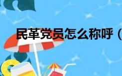 民革党员怎么称呼（民革成员怎么称呼）