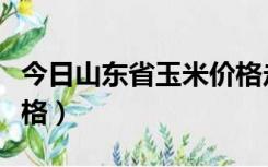 今日山东省玉米价格走势（今日山东省玉米价格）