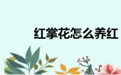 红掌花怎么养红（红掌花怎么养）