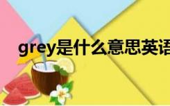 grey是什么意思英语（grey是什么意思）