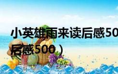 小英雄雨来读后感500字作文（小英雄雨来读后感500）