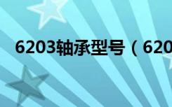 6203轴承型号（6203轴承尺寸参数规格）