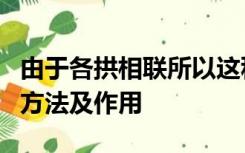 由于各拱相联所以这种桥叫做联拱石桥的说明方法及作用