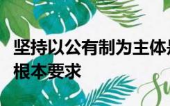 坚持以公有制为主体是促进我国生产力发展的根本要求