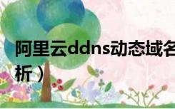 阿里云ddns动态域名解析（ddns动态域名解析）