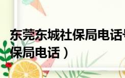 东莞东城社保局电话号码是多少（东莞东城社保局电话）