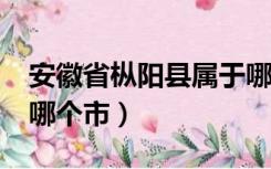 安徽省枞阳县属于哪个市?（安徽枞阳县属于哪个市）