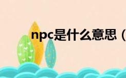 npc是什么意思（npv是什么意思）