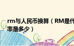 rm与人民币换算（RM是代表什么货币 它和人民币的兑换率是多少）