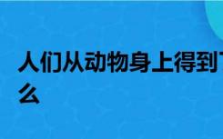 人们从动物身上得到了什么启示从而发明了什么