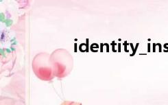 identity_insert设置为on