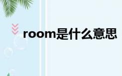 room是什么意思（rom是什么意思）