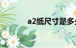 a2纸尺寸是多少厘米（a2纸）