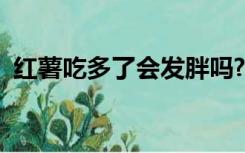 红薯吃多了会发胖吗?（红薯吃多了会发胖）