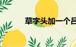 草字头加一个吕（草字头加吕）