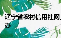 辽宁省农村信用社网上银行不支持浏览器怎么办