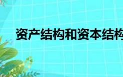 资产结构和资本结构的区别（资产结构）