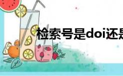 检索号是doi还是wos（检索号）