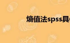 熵值法spss具体步骤（熵值）