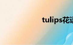 tulips花语（tulip）