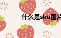 什么是sku图片（什么是sku）