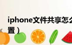 iphone文件共享怎么设置（文件共享怎么设置）