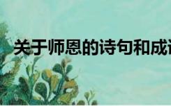 关于师恩的诗句和成语（关于师恩的诗句）