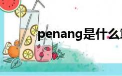 penang是什么意思（penang）