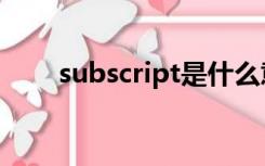 subscript是什么意思（subscript）