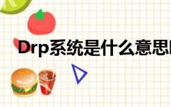 Drp系统是什么意思啊（drp系统是什么）