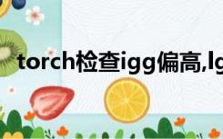 torch检查igg偏高,lgm正常（torch检查）