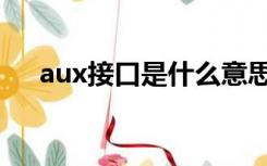 aux接口是什么意思（aux接口是什么）