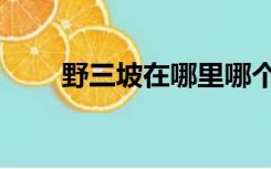 野三坡在哪里哪个省的（野三坡在）