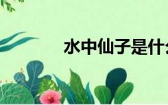 水中仙子是什么花（水中仙）