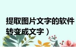 提取图片文字的软件（有什么软件可以把图片转变成文字）