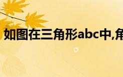 如图在三角形abc中,角abc和角acb的平分线