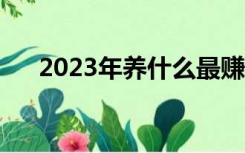 2023年养什么最赚钱（养什么最赚钱）