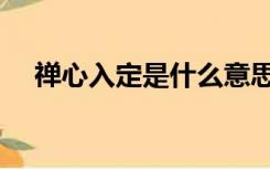 禅心入定是什么意思（入定是什么意思）