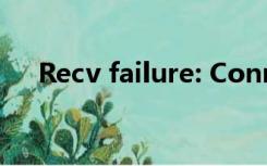 Recv failure: Connection was reset