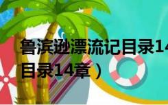 鲁滨逊漂流记目录14章名字（鲁滨逊漂流记目录14章）