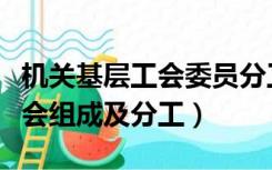 机关基层工会委员分工及职责（机关工会委员会组成及分工）