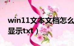 win11文本文档怎么显示txt（文本文档怎么显示txt）