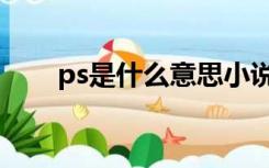 ps是什么意思小说（ps是什么意思）