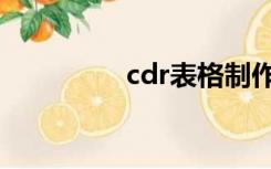 cdr表格制作（cdr表格）